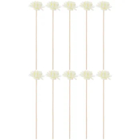 Reed Diffuser Sticks Flower Rattan Fragrance Essential Oil Aroma Refill Home Office Car