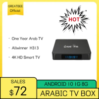 Great Bee Arabic TV Box GBM2 Allwinner 4K Smart TVS Set Top Box Media Player, Greatbee Android 10 Arab Live TV Satellite