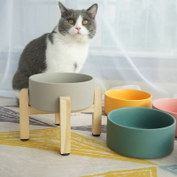 加高木架陶瓷貓碗狗碗貓食盆狗盆飯盆水碗寵物碗貓咪單碗保護頸椎