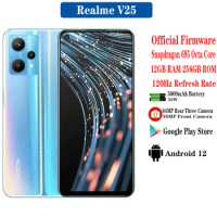 Realme V25 5G Smartphone 6.6inch 120Hz Screen Snapdragon 695 12GB RAM 256GB ROM 5000mAh Battery 33W 64MP Camera Google Play OTA