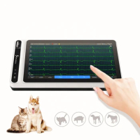 Hospital Equipment with Touch Screen Electrocardiogragh Ekg Monitor Portable 6 9 12Lead Machine