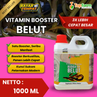 Vitamin Khusus Belut / Suplemen Penambah Nafsu Makan Belut / Booster Premium Mempercepat Pertumbuhan