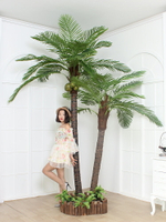 仿真椰子樹假椰樹室內外裝飾熱帶植物大型防真綠植落地仿真棕櫚樹