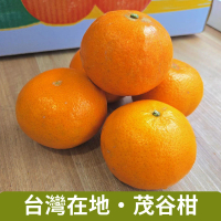 【仙菓園】台灣在地 茂谷柑 單顆約150g 40顆入(冷藏配送)