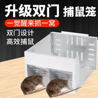 雙門全自動老鼠籠 捕鼠器 老鼠陷阱 耗子籠