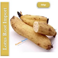 Akar Teratai Segar - Sayur Akar Teratai / Lotus Root Import Fresh | 500gr [ Harga Per 0,5 Kg ]