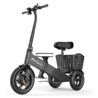 Electric-Scooter-Wholesale 12 Inch Adult Electric Scooter with Seat for Elderlycustom