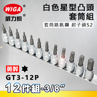 WIGA 威力鋼 GT3-12P 3/8＂ 12件組白色星型凸頭套筒組 [3分星型凸頭套筒]