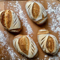 VEGAN ROTI SOURDOUGH BREAD GRANDPAS