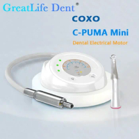 GreatLife Dent COXO C-Puma Mini Electrical Brushless Motor 1:1 Endodontic Instrument All in One 1:5 