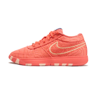 【NIKE 耐吉】Book 1 Sedona EP 男鞋 紅岩色 氣墊 耐磨 實戰 運動 籃球鞋 IB8053-800