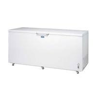 【SANLUX 台灣三洋】610L 負30度超低溫冷凍櫃SCF-610T(含基本安裝)
