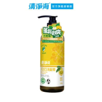 【清淨海】環保洗髮精750g