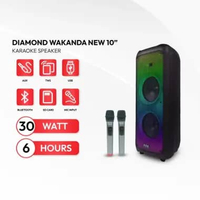 TANAKA Diamond Wakanda NEW Speaker Portable 12/10/8 Inch Bluetooth Indoor Karaoke Wireless Mic 10 In