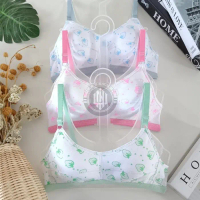1 Lusin Bra Remaja Abg Printing Bh Motif Terlaris