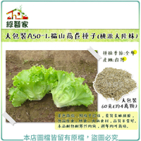 【綠藝家】大包裝A50-1.福山萵苣種子(桃源大陸妹)60克(約4萬顆)