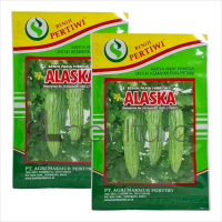 Benih Pare Paria Hibrida Alaska F1 Isi 10 Gram Cap Benih Pertiwi