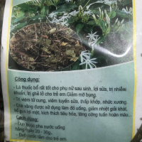 TRÀ VẰNG KHÔ LỢI SỮA TỐT CHO SỨC KHỎE MẸ VÀ BÉ