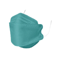 【令和】雙鋼印韓版成人3D醫療口罩蒂芬妮藍2盒組(特殊色 KF94 10入/盒)
