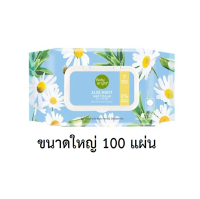 Baby Bright Aloe moist Wet Tissue 100 Sheets (เบบี้ไบร์ท อโลเวร่า มอยส์ เว็ท ทิชชูเปียก 100 แผ่น)