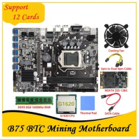 B75 BTC Mining Motherboard 12 PCIE To USB LGA1155 MSATA SSD 128G+DDR3 8GB 1600Mhz RAM+6Pin To Dual 8Pin Cable B75 Mining