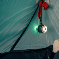 Olight 錸特光電 GOBER KIT 4色識別燈(安全警示燈 極輕量 USB-C充電 露營 登山 夜跑 夜騎 閃爍LED燈)