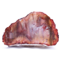 天然水晶原石木化石礦物片狀古典裝飾茶杯墊茶寵底托座子鎮紙