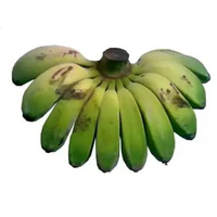 Pisang Kepok Pisang Sanggar Segar – Per Sisir Mentah