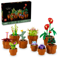 【LEGO 樂高】Botanicals 10329 迷你盆栽(居家擺飾 禮物 DIY 玩具 積木 母親節禮物)