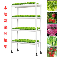 免運 可開票 水培管道式蔬菜種菜機無土栽培設備自動化多層水耕種植架魚菜共生 快速出貨