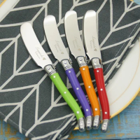 4pcs Rainbow Laguiole Cheese Knife Butter Spreaders Knife Set Cheese Spreader Butter Knife Sauce Cake Slicer 6.25inch 15.9cm