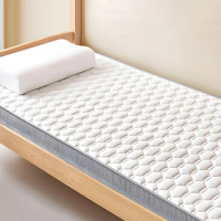 Natural Latex Mattresses Memory Foam Air Mattress Bedroom Tatami Mat Dormitory Student Foldable Mattress Home Bedroom Furniture