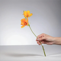 【Floral M】初戀少女黃色波斯菊仿真花花材 （3入組）(人造花/塑膠花/假花/裝飾花)
