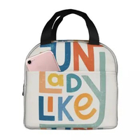 UNLADYLIKE Thermal Insulated Lunch Bag Insulated bento bag Reusable Food Bag Portable Lunch Box Tote Picnic Teacher