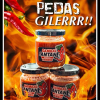8055 Sambal Jantan original
