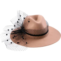 EE 5243 Wool adult top hat Australian wool Jazz hat large brim vintage mesh elegant winter hat lady