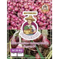 Bibit Premium Bawang Merah Sanren F1 | Benih Bawang Merah Sanren F1