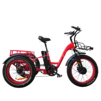 QUEENE/24 Inch NEW Motorized Electric Tricycle with EN15194/ Cheap Electric Trike/ 3 Wheel Electric Bike with Pedals