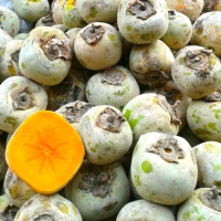 kesemek manis matang segar fresh isi 1KG/500gram