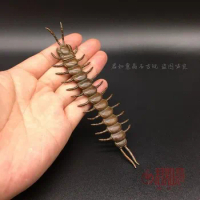 Make old copper centipede decorative ornaments in antique style