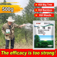 【Malay spot】alion arcun rumput parakuta Weeding，rotten tree eradicator bamboo penyembur racun rumput