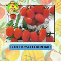 Benih Buah Buahan Bibit Biji Tanaman Organik Tomat Ceri Merah