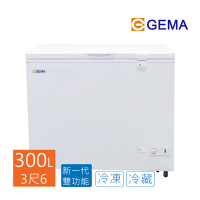 至鴻 GEMA 密閉式300L冷凍櫃 3尺6 冰櫃 BD-300 日本品質規範商品，低溫冷凍儲存專櫃