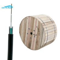 2 core 24 Core fiber Single Mode Outdoor Armoured GYXTW Fiber Optic Cable manufacture price