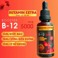 Butamin Extra B12 5000: Nhập Mỹ - Nuôi Gom Bo Cấp Tốc 7-10 Ngày Đá, Tăng Nước Máu & Cường Biến Dưỡng