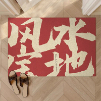 Entrance door mat for home foyer, feng shui silk loop door mat, dirt-trapping foot mat, non-slip car