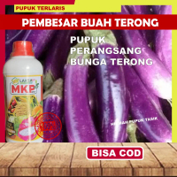 MKP Laksa Pupuk Cair Terong | Nutrisi Lengkap Penyubur Akar & Daun | Buah Terong Lebat, Segar, Panen