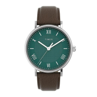 【TIMEX】天美時 Southview 41毫米綠色錶盤紳士手錶 棕 TXTW2V91500