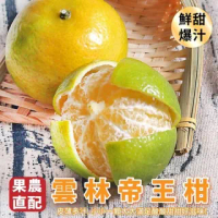【果農直配】雲林帝王柑(15斤/箱)