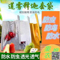蓮霧套袋專用保護套袋釋迦防蟲防雨水果透明袋加厚開窗袋連霧包郵-UM.有米家居